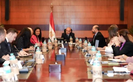 وزير الاستثمار يبحث إنشاء مجمع طبي متكامل بالقاهرة ضمن شراكة مصرية تركية