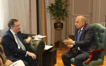 مصر وبريطانيا تبحثان تعزيز التعاون في الطاقة المتجددة وتحديث شبكات الكهرباء وتخزين الطاقة