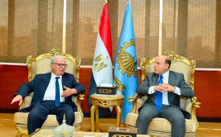 نائب رئيس الوزراء يتابع خطط دعم الصناعة بالغربية وتعزيز تنافسية الاقتصاد المصري