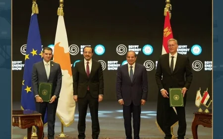 مصر تعزز مكانتها كمركز إقليمي للغاز.. قرار الاستثمار النهائي لمشروع كرونوس القبرصي يدعم تصدير غاز شرق المتوسط