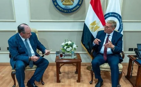 وزير البترول يبحث مع أباتشي العالمية تعزيز استثمارات الاستكشاف والإنتاج في الصحراء الغربية