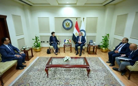 وزير البترول يبحث مع سفيرة قبرص تسريع مشروعات ربط الغاز وفتح آفاق جديدة للاستثمارات التعدينية