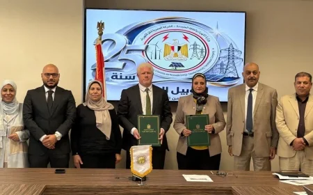 المصرية لنقل الكهرباء توقع عقد تنفيذ خطوط هوائية لربط محطة كيميت السخنة بالشبكة القومية
