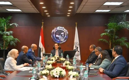 هيئة الاستثمار تبحث مع موانئ دبي العالمية خطط التوسع في مصر وفرصًا جديدة لتعزيز الخدمات اللوجستية