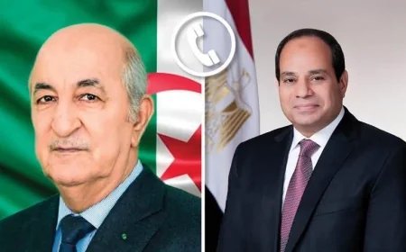 الرئيس السيسي يؤكد تضامن مصر مع الجزائر ويبحث مع تبون تعزيز التعاون والتطورات الإقليمية