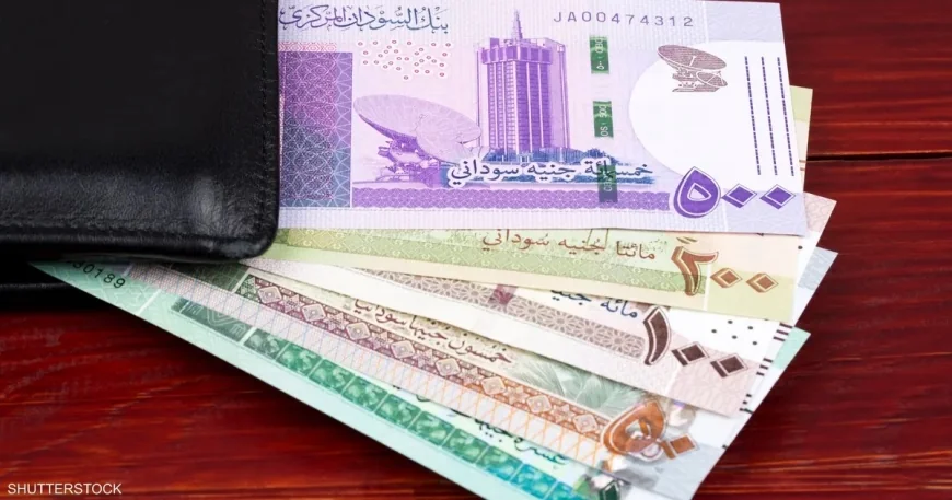 عملة موازية في مناطق الدعم السريع.. هل يقترب السودان من الانقسام الاقتصادي؟