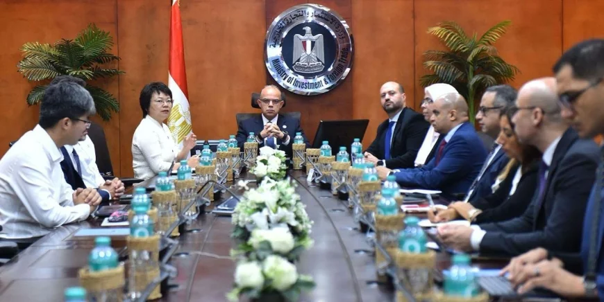 استثمارات صينية بـ20 مليون دولار لإنشاء مصنع لمعدات وخطوط إنتاج السيارات في مصر