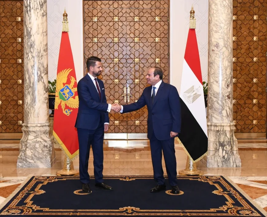 الرئيس السيسي ورئيس الجبل الأسود يبحثان تعزيز التعاون الاقتصادي وتوسيع الاستثمارات