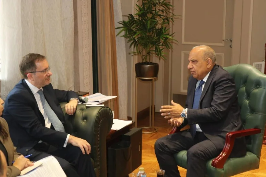 مصر وبريطانيا تبحثان تعزيز التعاون في الطاقة المتجددة وتحديث شبكات الكهرباء وتخزين الطاقة