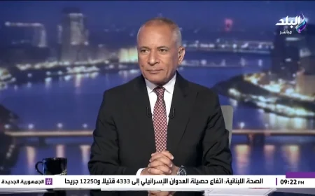 أحمد موسى: الرئيس السيسي يتابع الأمن الغذائي ويوجه بإنشاء 300 مخبز استراتيجي كمرحلة أولى