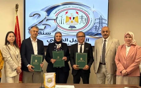 المصرية لنقل الكهرباء توقع عقد تنفيذ خط بجهد 500 كيلوفولت بخليج السويس