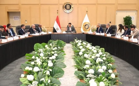 وزير الصناعة يبحث خطة تنفيذية لتصنيع هيكل السيارات بالكامل محليًا وزيادة المكون المحلي