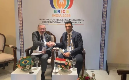 وزير الصناعة يبحث مع البرازيل والصين تعزيز الشراكات الصناعية وزيادة الاستثمارات ونقل التكنولوجيا