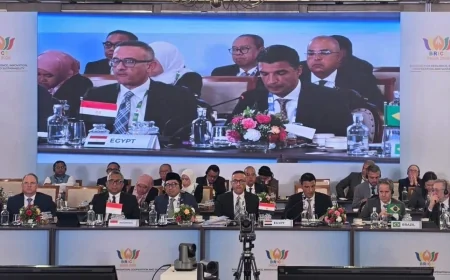 وزير الصناعة: مصر تستهدف تحويل شراكة بريكس إلى مشروعات إنتاجية مشتركة وتحديث الصناعة ونقل التكنولوجيا
