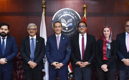 الاستثمارات الباكستانية في مصر.. تحركات جديدة لزيادة الشراكات بقطاعات النسيج والبطاريات