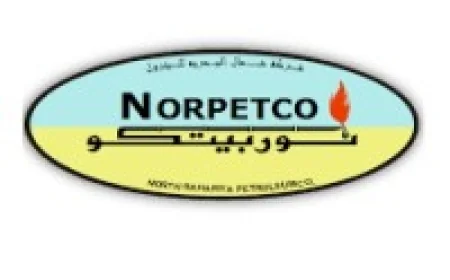 وظائف شركة شمال البحرية للبترول.. 12 تخصصًا هندسيًا وفنيًا مع إتاحة التقديم