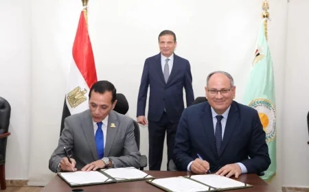 الزراعة تتوسع في إنتاج هجن الطماطم بمنطقة المغرة للحد من الاستيراد