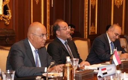 وزير المالية: مصر والهند تبحثان تعزيز التعاون في الرقمنة وتمويل البنية التحتية والمناخ