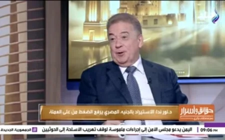 نور ندا: مصر المرشح الأول لاستثمارات دول «بريكس».. وقبلة الحياة للاقتصاد