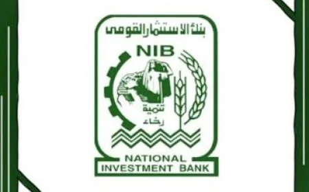 بنك الاستثمار القومي يقلب موازين النتائج.. 6 مليارات جنيه أرباحًا بعد خسائر 31.7 مليار