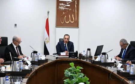 الحكومة تتابع تطوير الغزل والنسيج.. خطة لاستعادة مكانة القطن المصري وزيادة الصادرات
