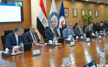 3.2 مليون برميل احتياطيات مجاويش.. و6 آبار جديدة لبتروسيلة خلال 2026/2027