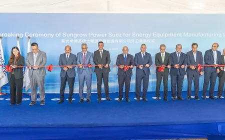 باستثمارات 50 مليون دولار.. «اقتصادية قناة السويس» تضع حجر أساس مصنع «Sungrow»