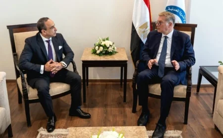 هاليبرتون تجهز خطة لزيادة إنتاج مصر.. الحفر الأفقي والتكسير الهيدروليكي في الواجهة