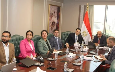 وزير الكهرباء يتابع مع «سكاتك» تنفيذ مشروعات طاقة متجددة بقدرة 3100 ميجاوات