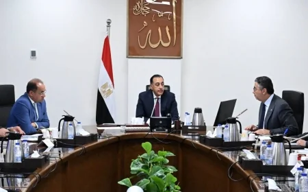 فض التشابكات المالية بين المالية وهيئة السلع التموينية.. الحكومة تتحرك لتسوية المديونيات وتعزيز كفاءة التمويل