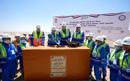 658 مليون دولار.. أبوطرطور يبدأ عصر تصنيع الفوسفات وإنتاج حامض الفوسفوريك