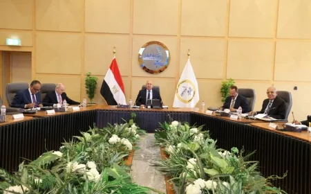 مصر تدعم أسطول ناقلات البترول بشراء ناقلة منتجات وبناء ناقلة «أفرامكس» لتعزيز قدرات النقل البحري