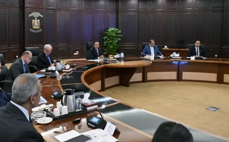 رئيس الوزراء: البرنامج الوطني للتحول الاقتصادي يستهدف تعزيز تنافسية مصر ودعم القطاع الخاص والتصدير