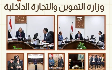 وزارة التموين تكشف حصاد أسبوعها من 15 إلى 21 أغسطس.. تحركات لتعزيز الأمن الغذائي