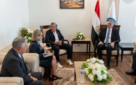 وزير البترول يبحث مع «فيلوكس» الأسترالية فرص الاستثمار في قطاع التعدين بمصر