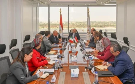 الاستثمارات الإيطالية في مصر.. تحركات حكومية لزيادة التدفقات وتعزيز الشراكة الاقتصادية