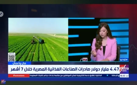 السعودية وأمريكا والصين.. 3 أسواق تفتح أبوابًا جديدة أمام صادرات الغذاء المصرية