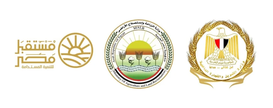 الحكومة تخفض سعر السكر الحر إلى 25 جنيهًا للكيلو بدءًا من الخميس 6 أغسطس