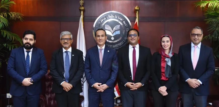 الاستثمارات الباكستانية في مصر.. تحركات جديدة لزيادة الشراكات بقطاعات النسيج والبطاريات