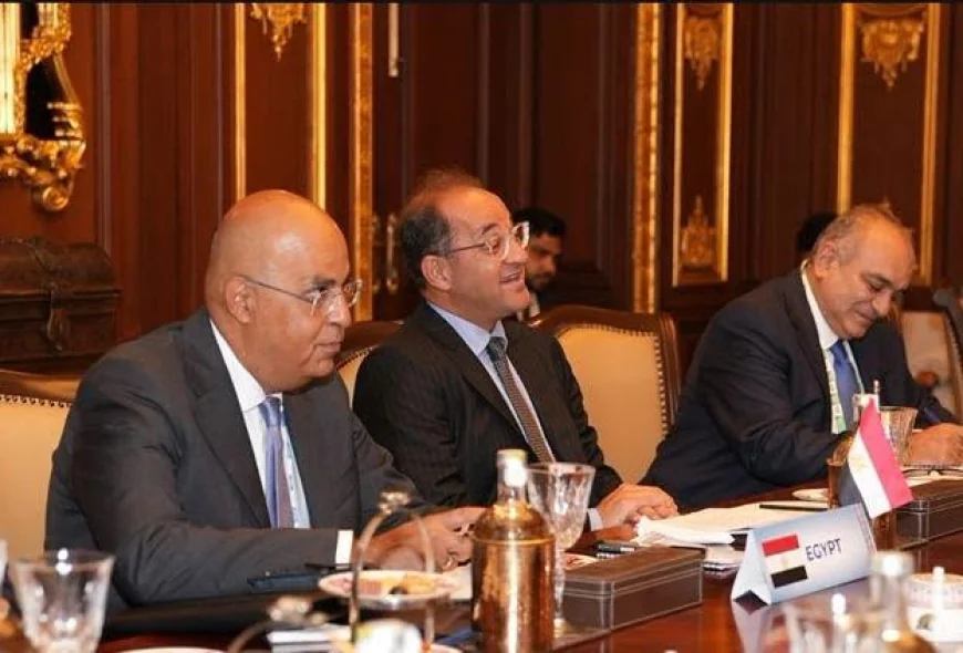 وزير المالية: مصر والهند تبحثان تعزيز التعاون في الرقمنة وتمويل البنية التحتية والمناخ