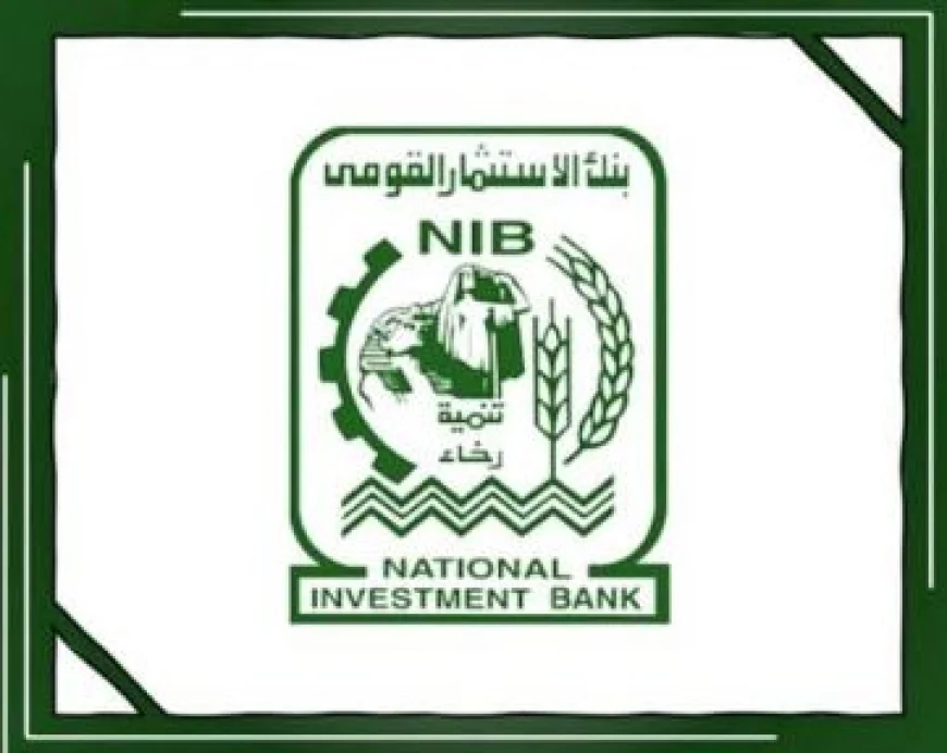 بنك الاستثمار القومي يقلب موازين النتائج.. 6 مليارات جنيه أرباحًا بعد خسائر 31.7 مليار