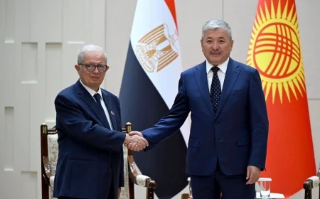 نائب رئيس مجلس الوزراء يبحث مع رئيس الوزراء القيرغيزي تعزيز التعاون التجاري والاستثماري بين مصر وقيرغيزستان
