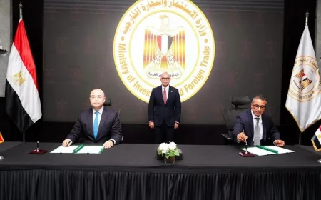 مصر تبحث توطين صناعة البطاريات.. «منصور» و«Tianneng» الصينية تدرسان الاستثمار في بطاريات الليثيوم