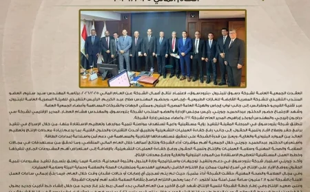 الجمعية العامة لـ«بترو دسوق» تعتمد نتائج أعمال العام المالي 2025/2026