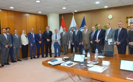 اعتماد نتائج أعمال بتروفرح وبرج العرب للبترول 2025/2026.. إنتاج يتجاوز المستهدف وخطط لزيادة الاستثمارات