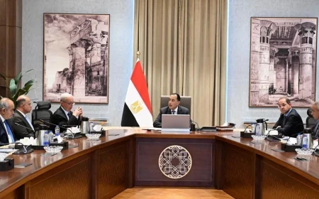 مدبولي يتابع إعادة هيكلة وتطوير وحوكمة الشركات المملوكة للدولة