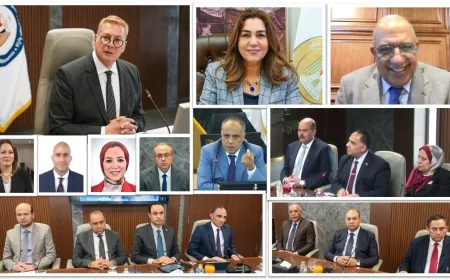 البتروكيماويات المصرية ترفع الإنتاج 17%.. وتصدر 24 ألف طن PVC