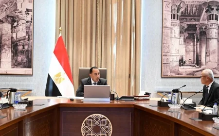 تويوتا تسوشو تعتزم تجميع فئة جديدة من سيارات تويوتا في مصر