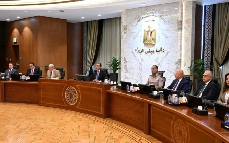 رئيس الوزراء: زيادة الرقعة الخضراء و85 مليون دولار استثمارات جديدة و57.21 مليار دولار احتياطيًا أجنبيًا