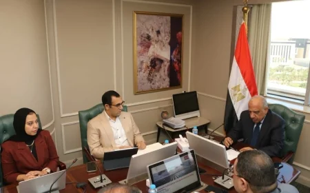 وزير الكهرباء يتابع مع «نكسوس أنالاتيكا» خطة تحرير سوق الكهرباء وتعزيز الحوكمة والشفافية